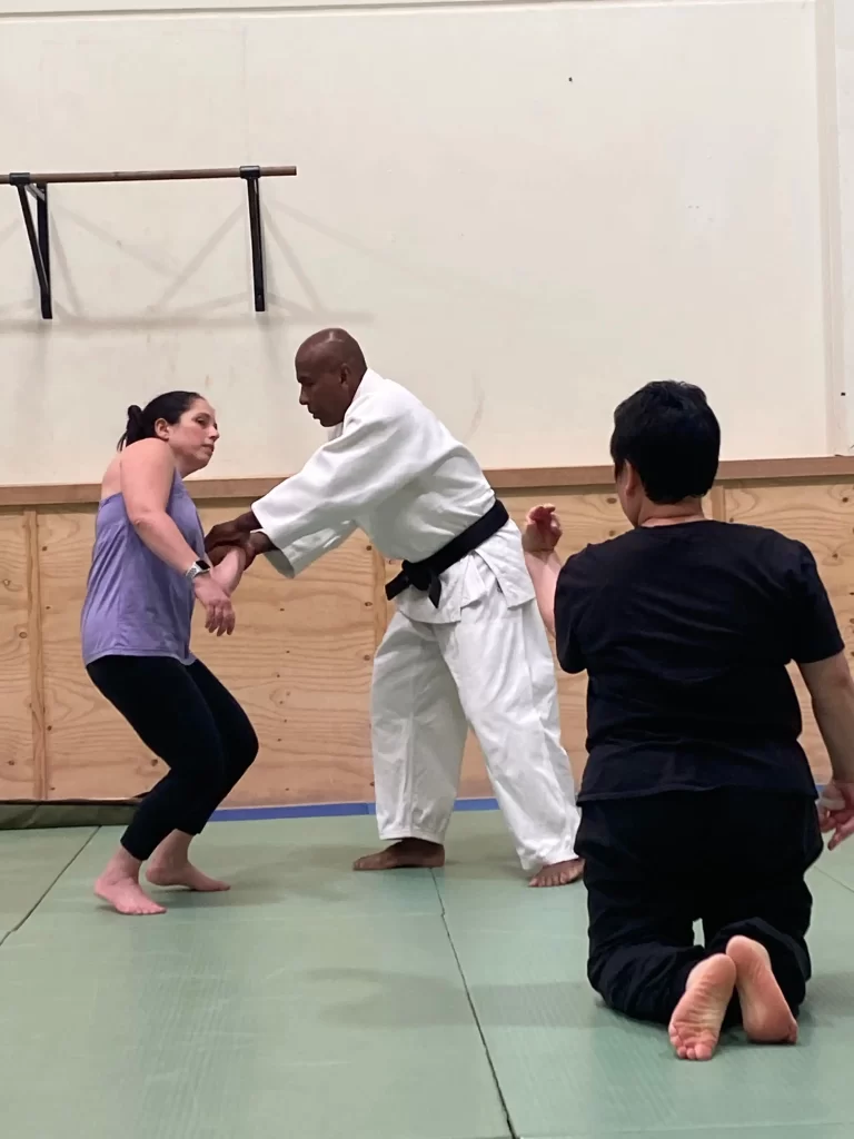 Joint locks Aikido